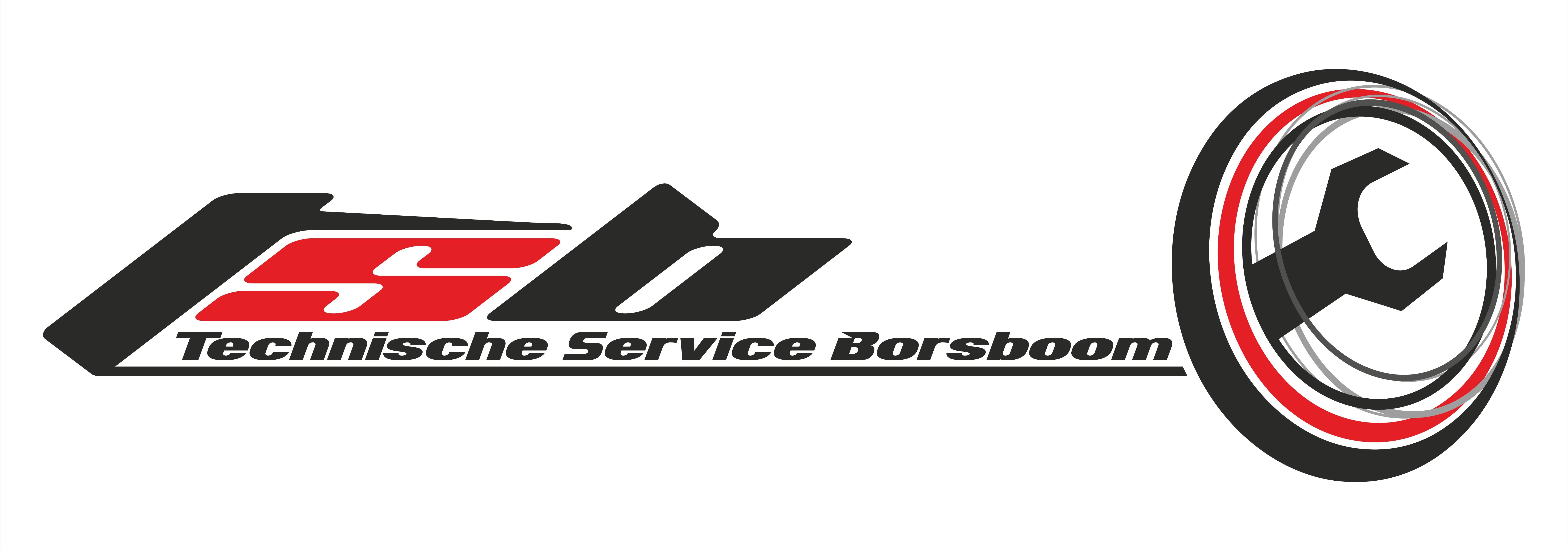 TSBorsboom